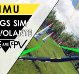 test wings sim review simulateur aile volante débutant